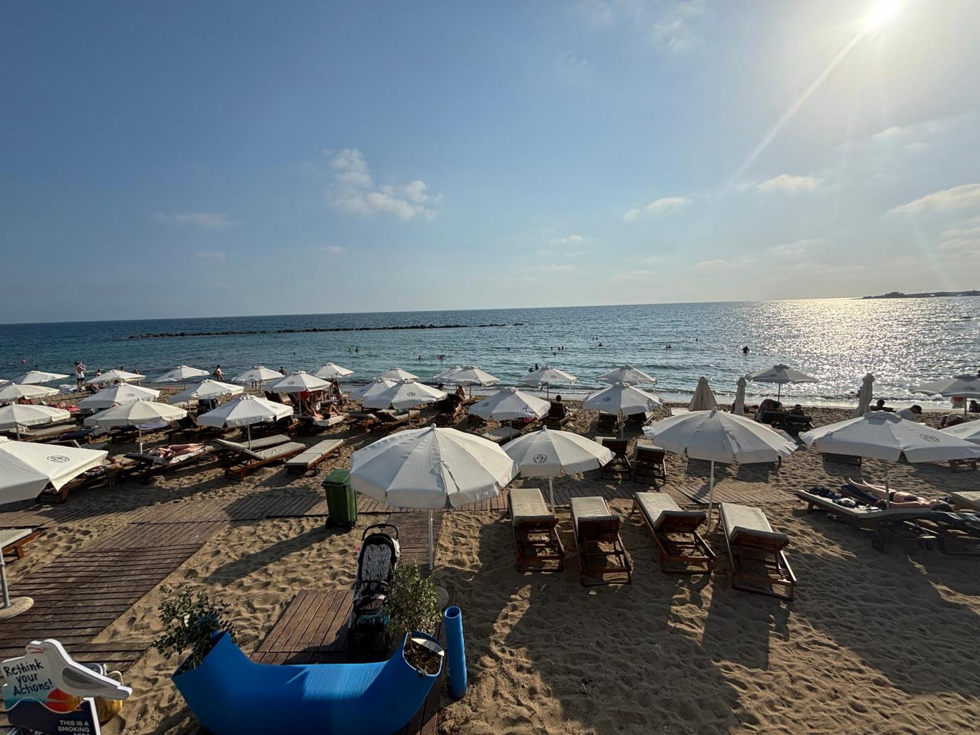 1B Seaside Orchid, Sea, Center Daire Pafos Dış mekan fotoğraf